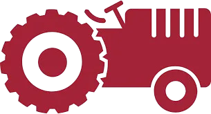 H-FARM International School